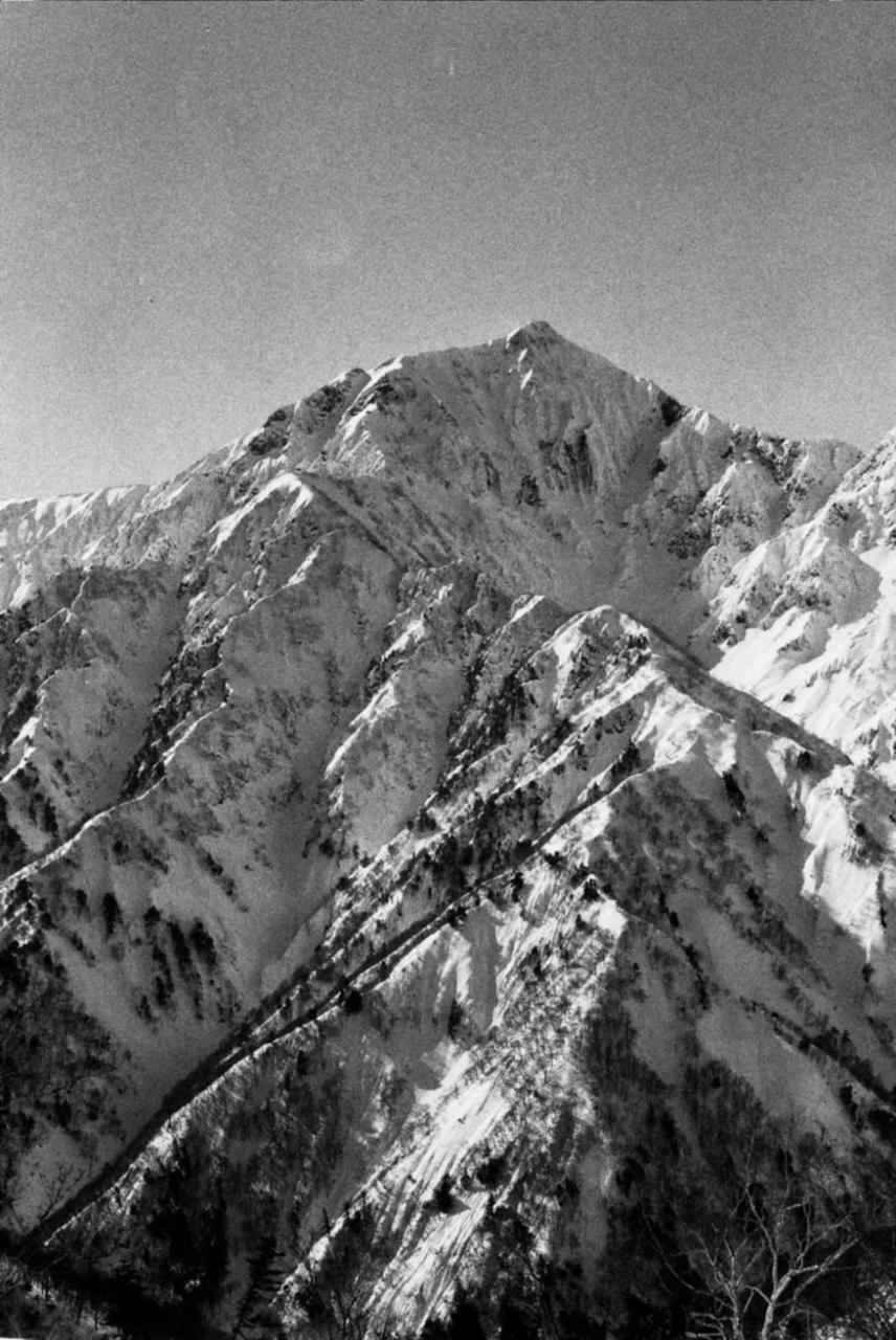 Albergue The Bohemians' Shelter Hakuba Exterior foto